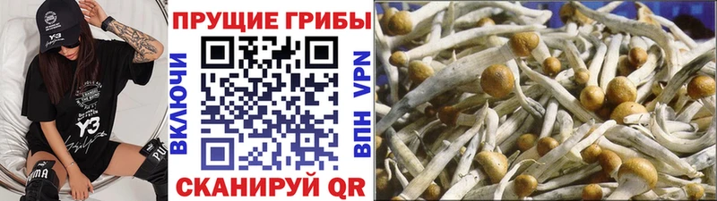 Псилоцибиновые грибы GOLDEN TEACHER  Нижние Серги 